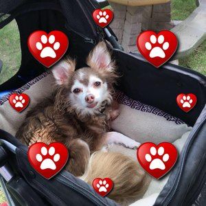 Meet your Posher, Marci